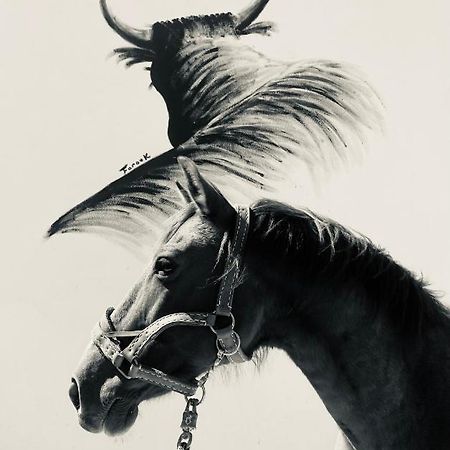 Gites Equestres Lou Caloun - Les Saintes Maries De La Mer Eksteriør billede
