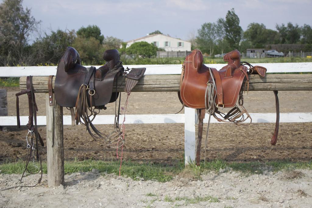 Gites Equestres Lou Caloun - Les Saintes Maries De La Mer Eksteriør billede